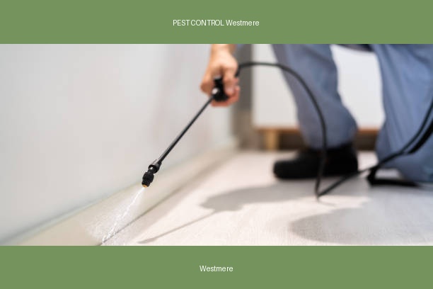 PEST CONTROL Westmere